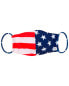Фото #1 товара Товар для женщин Dippin' Daisy's Тканевая маска для лица с 12 фильтрами набор - флаг США