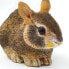 Фото #4 товара SAFARI LTD Eastern Cottontail Rabbit Baby Figure