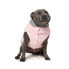 ფოტო #9 პროდუქტის FUZZYARD Cremorne Dog Sweatshirt Hoodie