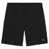 Фото #3 товара DICKIES Fincastle shorts