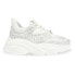 STEVE MADDEN Privy trainers