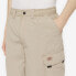 DICKIES Jackson cargo shorts