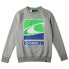 Фото #1 товара O´NEILL Flag Wave sweatshirt