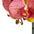 Фото #4 товара Kunstpflanze Orange Orchidee 42 cm