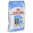 Фото #1 товара ROYAL CANIN Shn Mini Puppy 8kg Dog Food