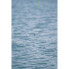 MATRIX FISHING F1 Shallow Pole Float