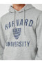 Harvard Kapşonlu Sweatshirt Şardonlu Lisanslı Baskılı