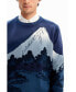 Фото #4 товара Men's Fine landscape pullover