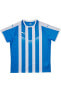 Фото #2 товара Liga Striped Match Jersey Mavi Beyaz Erkek Forma 703424-02
