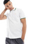 Farah alvin tipped polo in white