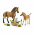 Фото #1 товара Игровая фигурка Schleich Horses 42432 Plastic - Farm World (Фермерский мир)