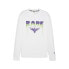 Puma Toxic Basketball Crew Neck Long Sleeve T-Shirt X Lb Mens White Casual Tops