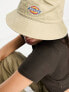 Фото #2 товара Dickies stayton bucket hat in khaki