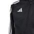 Фото #3 товара Adidas Tiro 24 Training Jr sweatshirt IJ9958