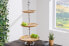 Фото #6 товара Etagere PURE NATURE