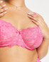 Фото #8 товара Ivory Rose Curve bold floral lace balconette bra in hot pink