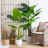 Фото #6 товара Декоративное растение искусственное BB Home Зеленый Филодендрон 75 x 60 x 155 см