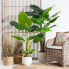 Decorative Plant 75 x 60 x 155 cm Green Philodendron