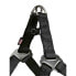 Фото #1 товара TRIXIE Softline Elegance One Touch 25 mm Harness