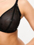 Ivory Rose Fuller Bust high apex sheer mesh bra in black spot