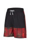 Фото #6 товара Баскетбольные мужские шорты Nike Kyrie Printed - Красные - CK6759-673