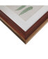 Martha Stewart Lady Fern Collection Single Mat Framed Graphic 3-Pc Set