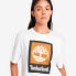 Фото #4 товара TIMBERLAND Stack Logo Colored short sleeve T-shirt