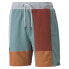 Фото #3 товара Puma Signature Drawstring Shorts Mens Size L Casual Athletic Bottoms 53417001