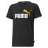 PUMA Essentials+ 2 Col Logo T-shirt