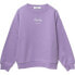 Фото #2 товара REPLAY SG2134.050.23706 sweatshirt