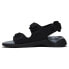 ფოტო #3 პროდუქტის TIMBERLAND TBL Whitehaven Backstrap sandals