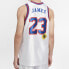 Фото #6 товара Майка баскетбольная Nike NBA 2 Space Jam23 Одежда для мужчин