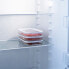 Фото #2 товара Прямоугольная коробочка для завтрака с крышкой Quid Rico Прозрачный Пластик 22 x 16 x 3,5 cm