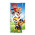 SAFTA Paw Patrol Funday Microfiber Towel