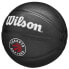 Фото #2 товара Wilson Team Tribute Toronto Raptors Mini Ball WZ4017608XB basketball
