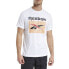 Фото #1 товара Reebok Cl Gp Bball M T-shirt FT7453