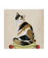 Фото #1 товара Grace Popp Lady Cat III Canvas Art - 20" x 25"