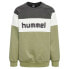 Фото #1 товара HUMMEL Claes sweatshirt
