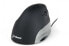 Фото #2 товара Bakker Evoluent Mouse Standard (Right Hand) - Black