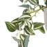 Декоративное растение 24 x 35 x 25 cm Белый Зеленый PVC