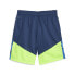 Фото #4 товара Puma Individualcup Soccer Shorts Mens Blue Casual Athletic Bottoms 65848554