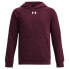 Фото #1 товара UNDER ARMOUR Rival Fleece hoodie