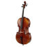 Фото #1 товара Gewa Allegro VC1 Cello 4/4