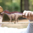 Фото #7 товара Игровая фигурка Schleich Amargasaurus Dinosaurs Wild Life (Дикие животные)