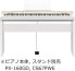 Casio CT-S1WE CASIOTONE Piano Keyboard with 61 Velocity Keys White