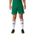 Фото #6 товара Adidas Squadra 17 M BJ9231 football shorts