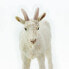 Фото #4 товара Фигурка Safari Ltd Nanny Goat Figure Wild Safari (Дикая Сафари)