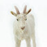 Фото #5 товара SAFARI LTD Nanny Goat Figure