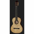 Amalio Burguet 1DV Spruce w/ Case