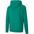 Фото #2 товара Puma teamGOAL 23 Casuals Hoody Jr 656711 05